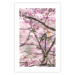 Poster Robin on Tree - small bird among branches and pink apple blossoms 116724 additionalThumb 18