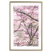 Poster Robin on Tree - small bird among branches and pink apple blossoms 116724 additionalThumb 27