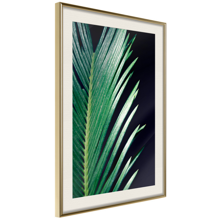 Wall Poster Sharp Leaves - botanical composition with plants on a background of deep black 119024 additionalImage 2