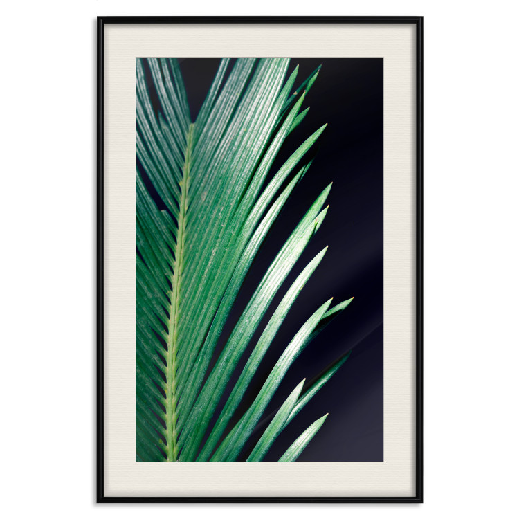 Wall Poster Sharp Leaves - botanical composition with plants on a background of deep black 119024 additionalImage 18