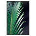 Wall Poster Sharp Leaves - botanical composition with plants on a background of deep black 119024 additionalThumb 24