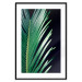 Wall Poster Sharp Leaves - botanical composition with plants on a background of deep black 119024 additionalThumb 17