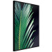 Wall Poster Sharp Leaves - botanical composition with plants on a background of deep black 119024 additionalThumb 10