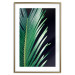 Wall Poster Sharp Leaves - botanical composition with plants on a background of deep black 119024 additionalThumb 14