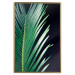 Wall Poster Sharp Leaves - botanical composition with plants on a background of deep black 119024 additionalThumb 20