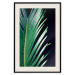 Wall Poster Sharp Leaves - botanical composition with plants on a background of deep black 119024 additionalThumb 18