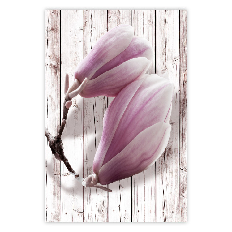 Wall Poster Provence Magnolia - pink flowers on a background of white wooden boards 122724