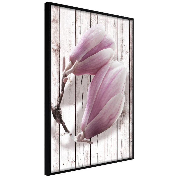 Wall Poster Provence Magnolia - pink flowers on a background of white wooden boards 122724 additionalImage 10