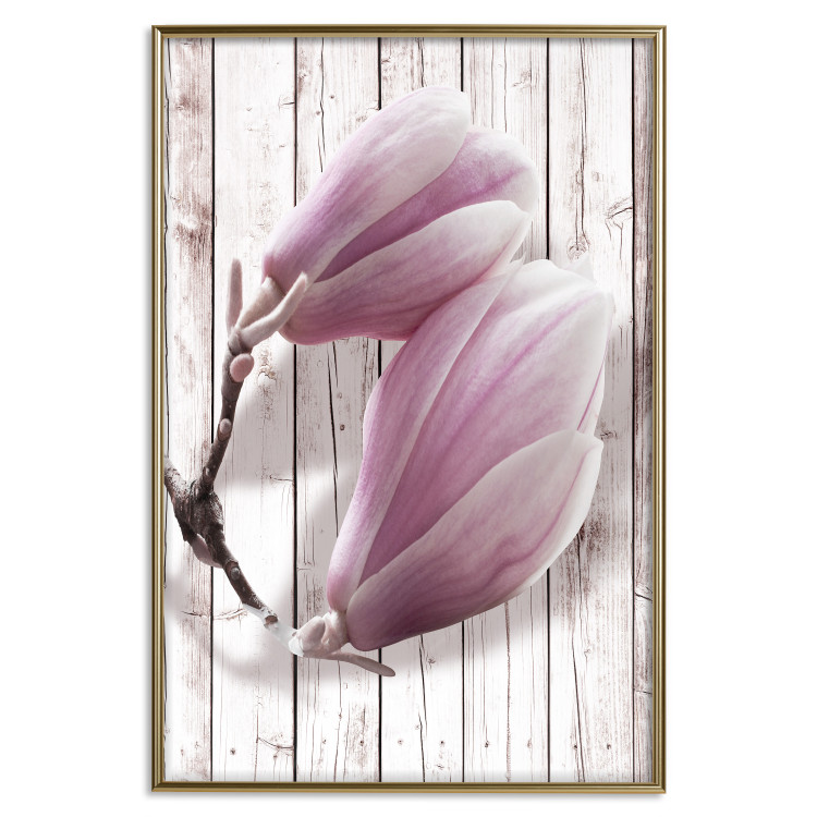 Wall Poster Provence Magnolia - pink flowers on a background of white wooden boards 122724 additionalImage 16