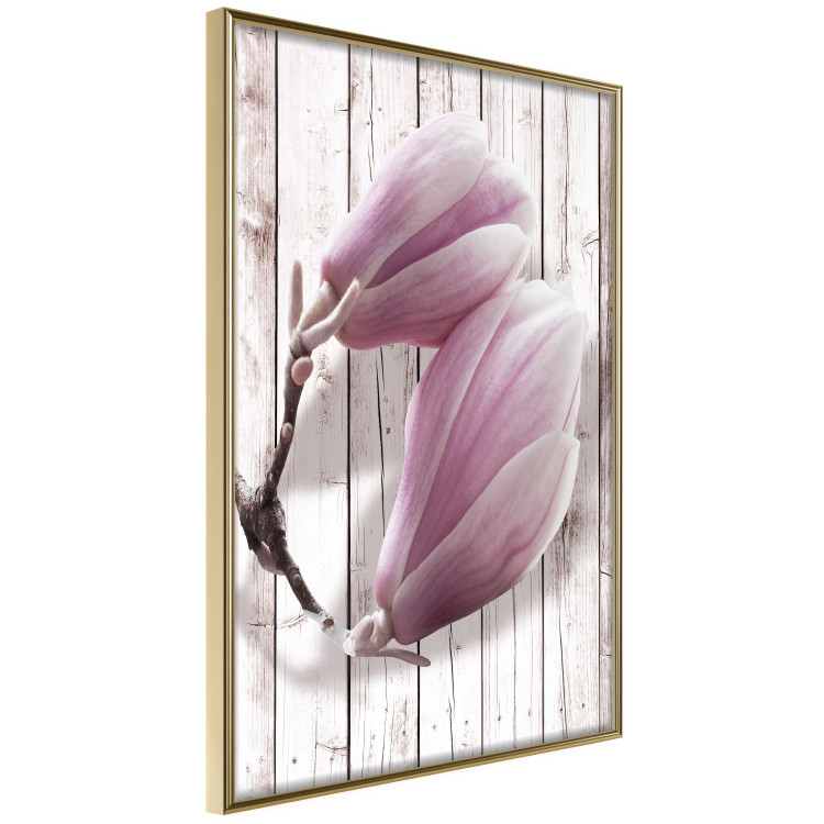 Wall Poster Provence Magnolia - pink flowers on a background of white wooden boards 122724 additionalImage 12