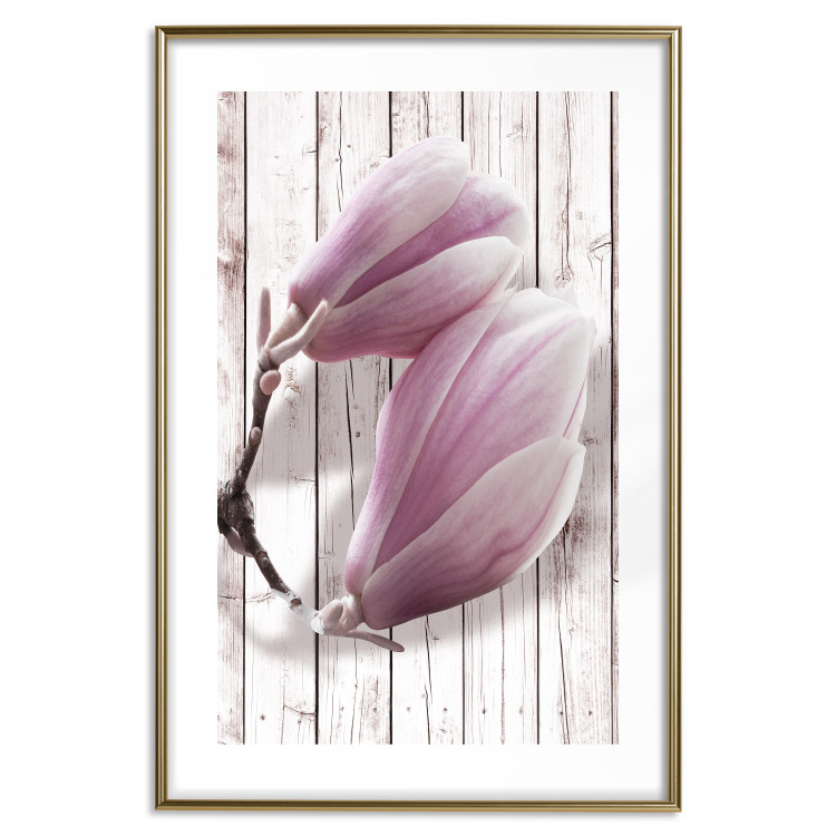 Wall Poster Provence Magnolia - pink flowers on a background of white wooden boards 122724 additionalImage 14