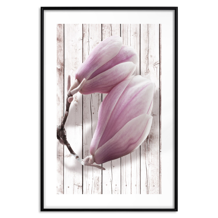 Wall Poster Provence Magnolia - pink flowers on a background of white wooden boards 122724 additionalImage 15