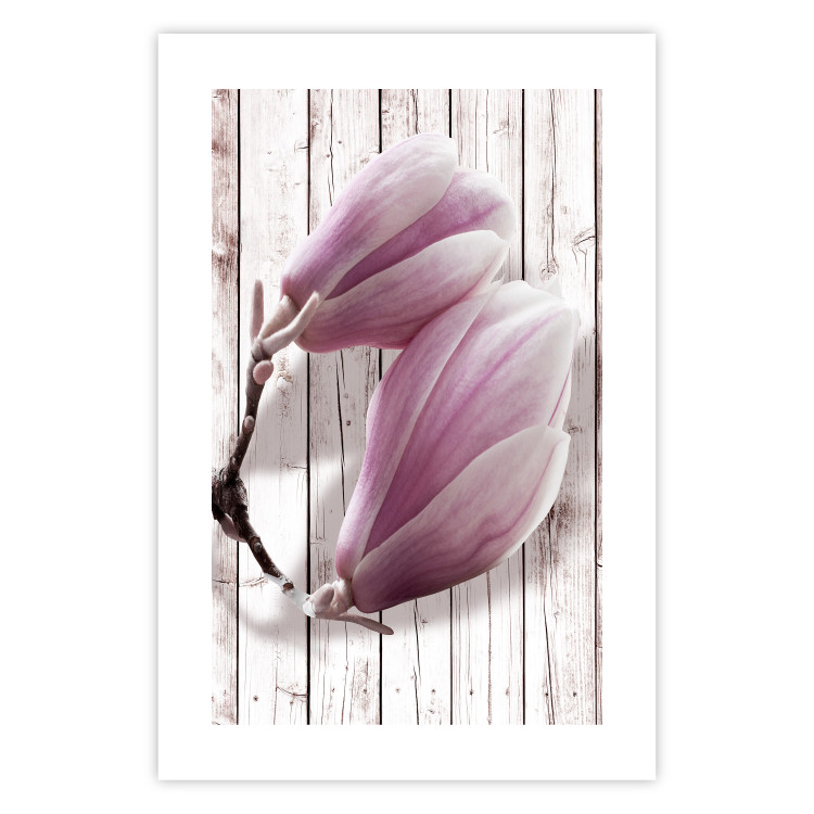 Wall Poster Provence Magnolia - pink flowers on a background of white wooden boards 122724 additionalImage 19