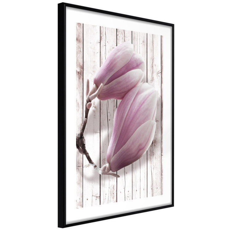Wall Poster Provence Magnolia - pink flowers on a background of white wooden boards 122724 additionalImage 11
