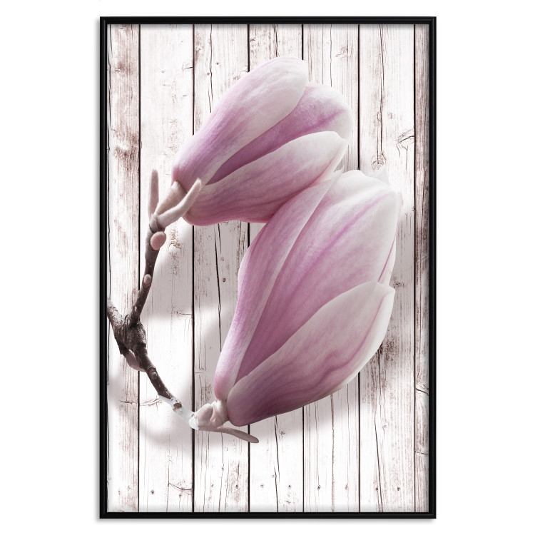 Wall Poster Provence Magnolia - pink flowers on a background of white wooden boards 122724 additionalImage 18