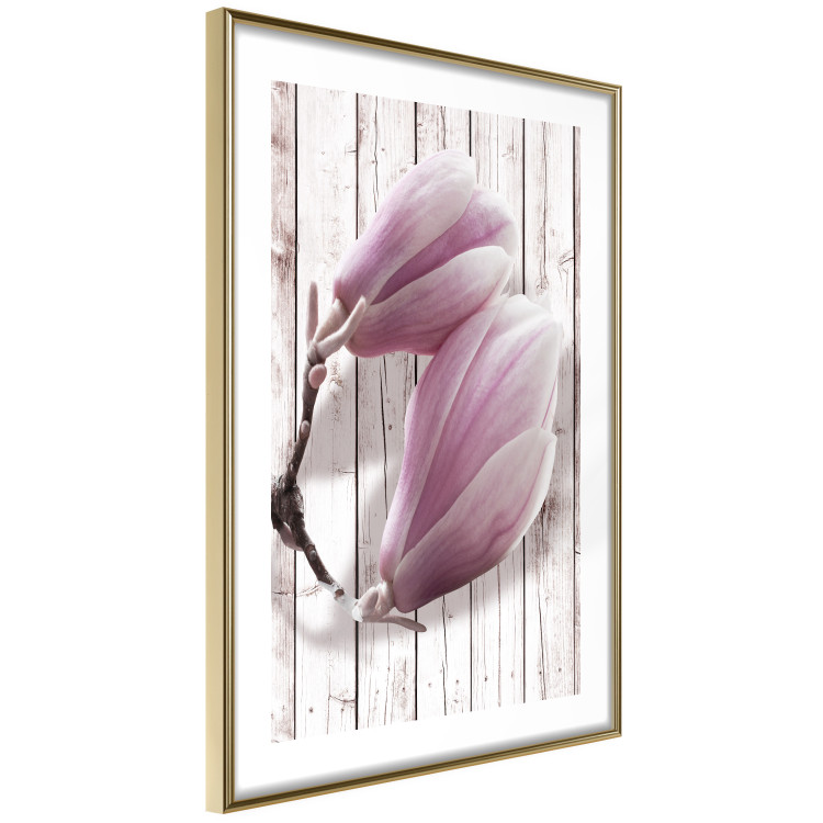 Wall Poster Provence Magnolia - pink flowers on a background of white wooden boards 122724 additionalImage 6