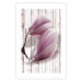 Wall Poster Provence Magnolia - pink flowers on a background of white wooden boards 122724 additionalThumb 19