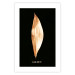 Poster Modest Elegance - plant composition of a golden leaf on a black background 130524 additionalThumb 25