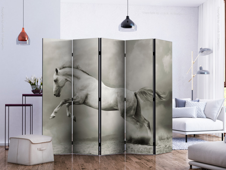Room Divider Screen Wild Stallion II (5-piece) - galloping white horse and light smoke in the background 133324 additionalImage 2