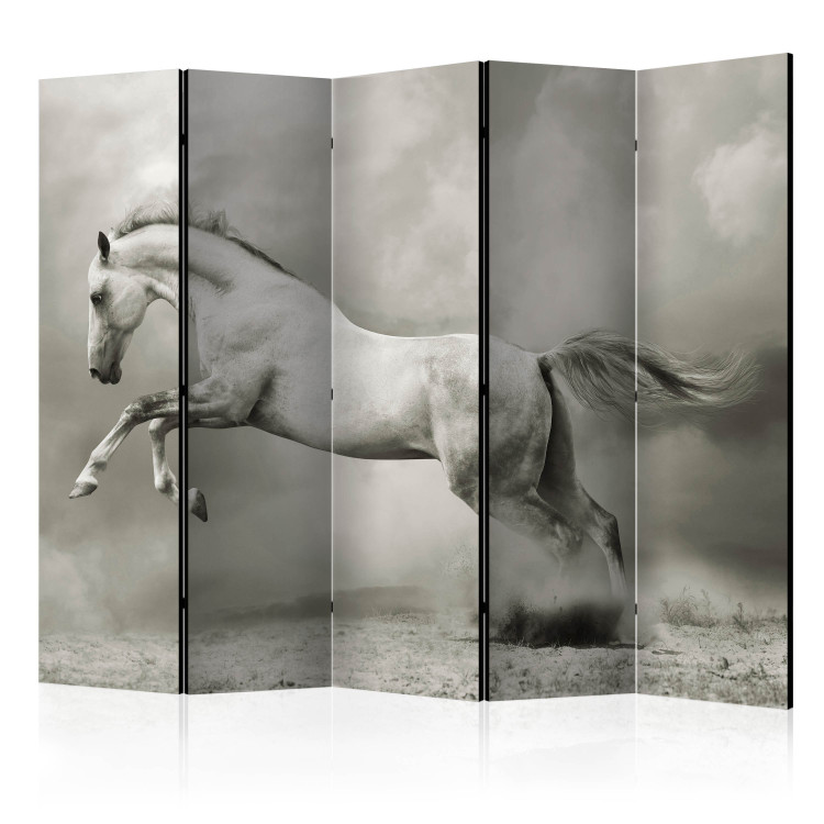 Room Divider Screen Wild Stallion II (5-piece) - galloping white horse and light smoke in the background 133324