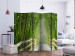 Room Divider Screen Magical Green World II - wooden bridge amidst a bamboo forest 134024 additionalThumb 2