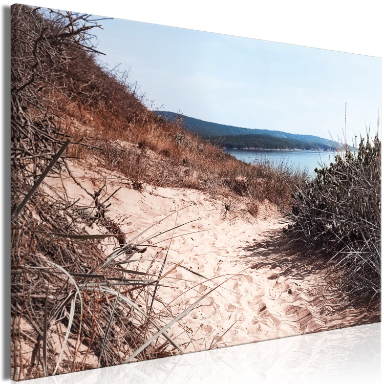 Canvas Print Descent to the Beach - Landscape of the Sea, Vegetation and a Sandy Road 146224 additionalImage 2