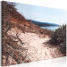 Canvas Print Descent to the Beach - Landscape of the Sea, Vegetation and a Sandy Road 146224 additionalThumb 2