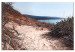 Canvas Print Descent to the Beach - Landscape of the Sea, Vegetation and a Sandy Road 146224