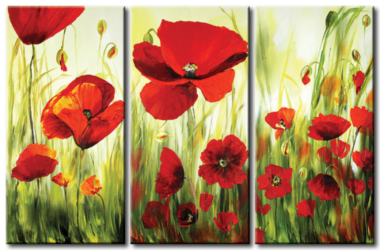 Canvas Print Poppies (3-piece) - Meadow of flowers in vibrant colours on a light background 48524
