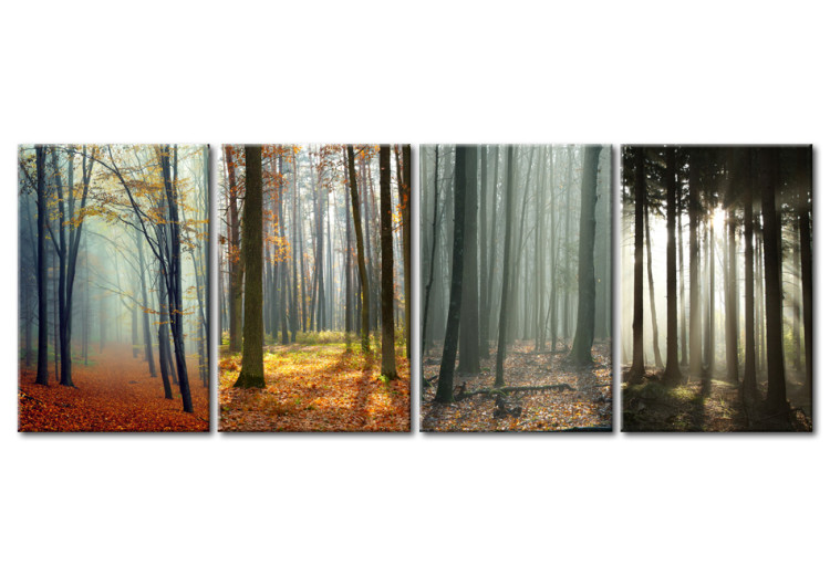 Canvas Art Print Forest's moods 50424