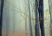 Canvas Art Print Forest's moods 50424 additionalThumb 5