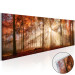 Acrylic print Autumnal Dawn [Glass] 94224