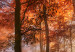 Acrylic print Autumnal Dawn [Glass] 94224 additionalThumb 6