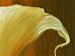 Canvas Art Print Calla's tranquility 97824 additionalThumb 3