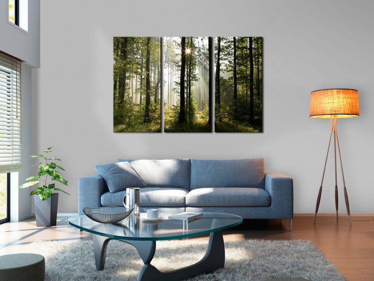 Canvas Nature: Forest Morning II - Summer Forest Landscape with Sunlight 98024 additionalImage 3