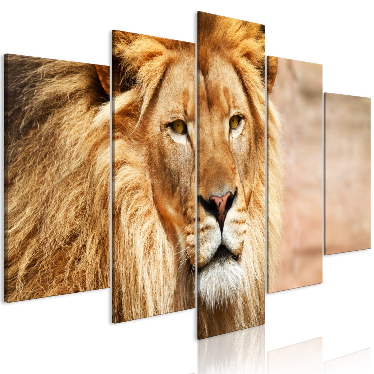 Canvas Print Lion King (5-part) Wide Orange - Exotic Lion 108234 additionalImage 2