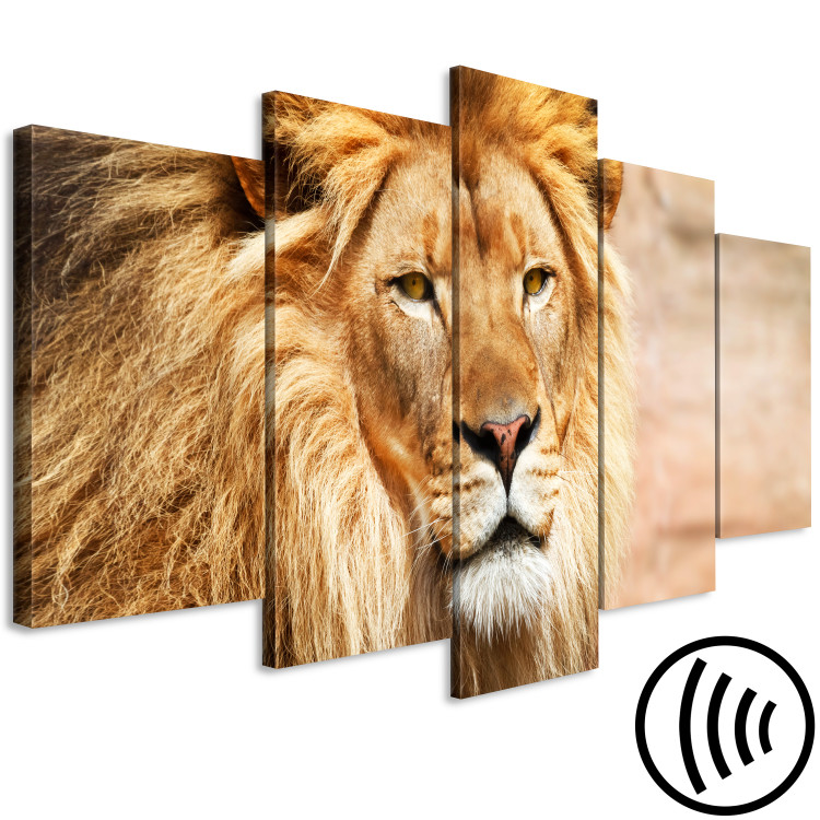 Canvas Print Lion King (5-part) Wide Orange - Exotic Lion 108234 additionalImage 6