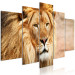 Canvas Print Lion King (5-part) Wide Orange - Exotic Lion 108234 additionalThumb 2