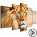 Canvas Print Lion King (5-part) Wide Orange - Exotic Lion 108234 additionalThumb 6