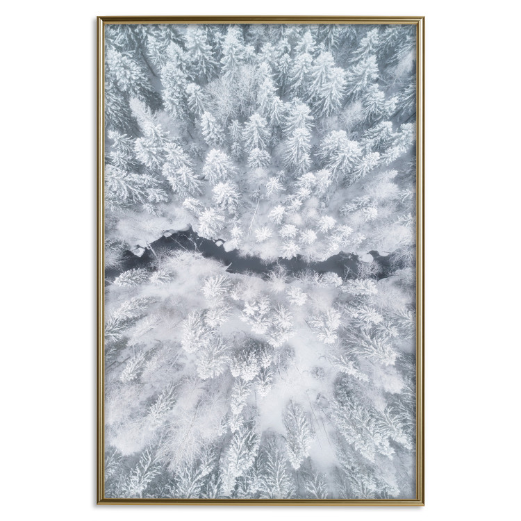 Poster Tree crowns - winter landscape of snow-covered trees seen from above 115134 additionalImage 20