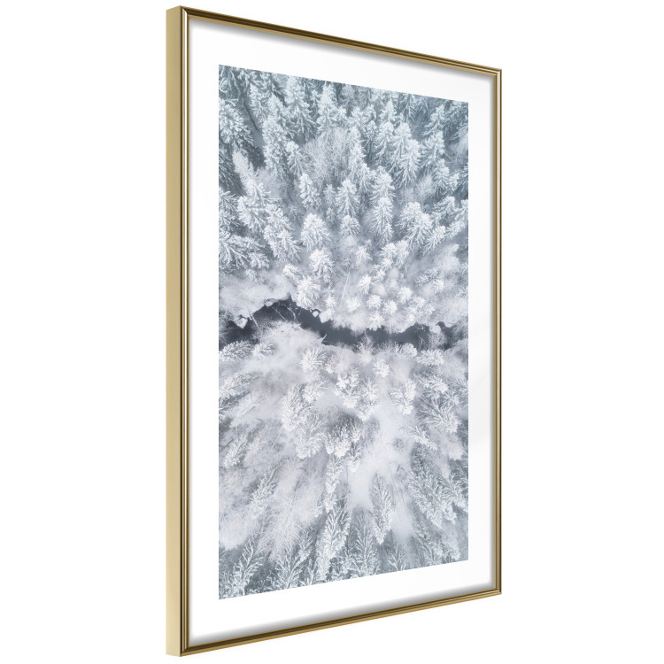 Poster Tree crowns - winter landscape of snow-covered trees seen from above 115134 additionalImage 8