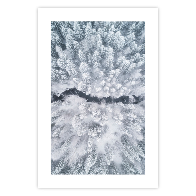 Poster Tree crowns - winter landscape of snow-covered trees seen from above 115134 additionalImage 25