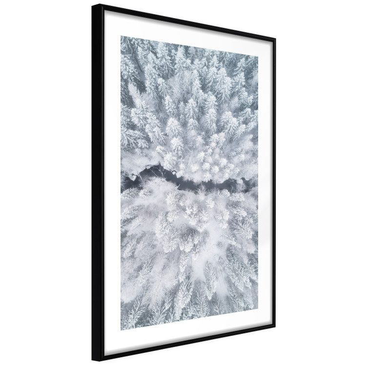 Poster Tree crowns - winter landscape of snow-covered trees seen from above 115134 additionalImage 13