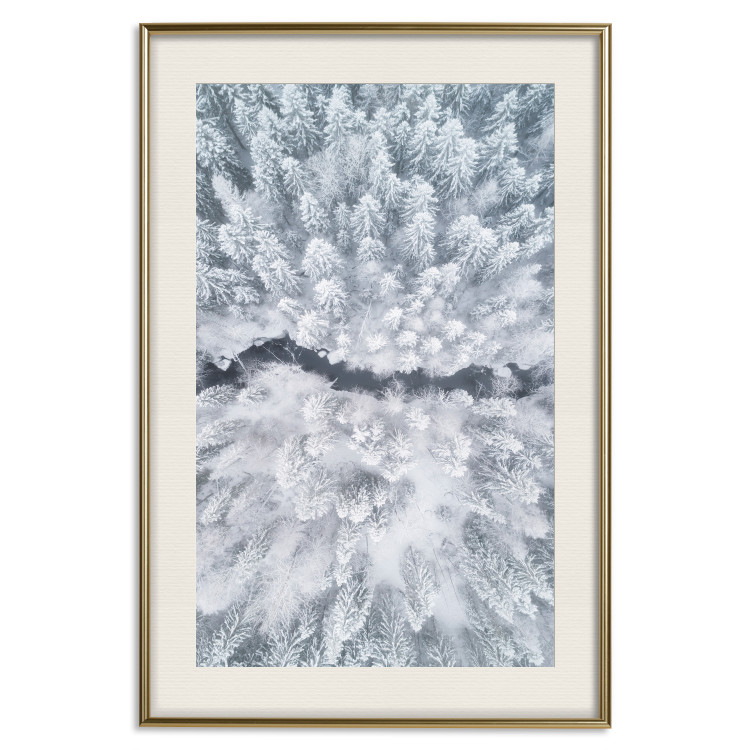 Poster Tree crowns - winter landscape of snow-covered trees seen from above 115134 additionalImage 19