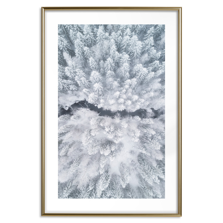 Poster Tree crowns - winter landscape of snow-covered trees seen from above 115134 additionalImage 14