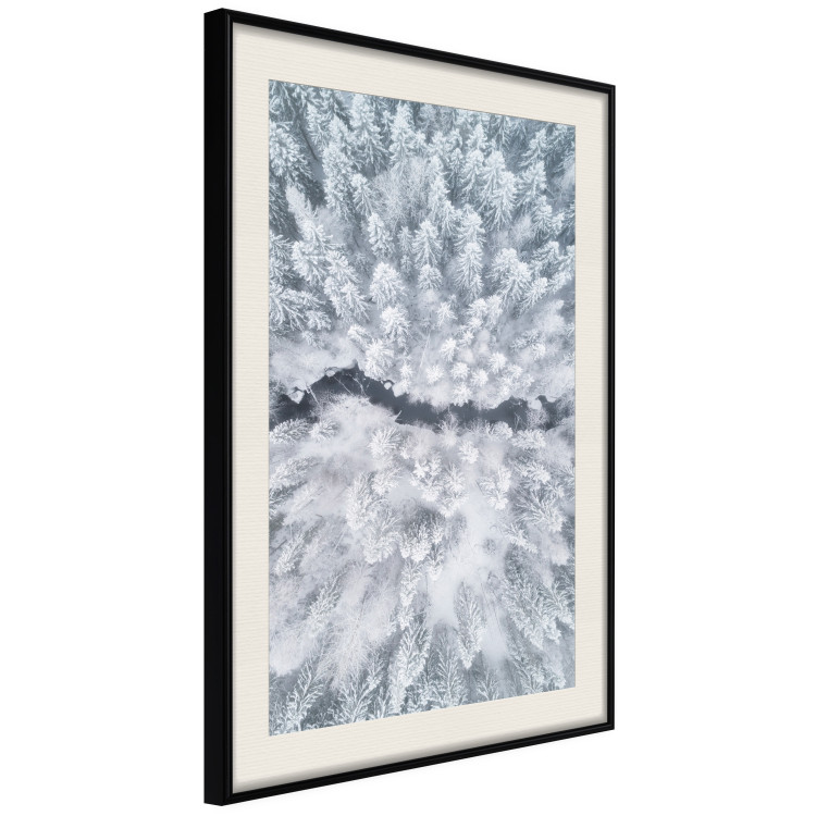 Poster Tree crowns - winter landscape of snow-covered trees seen from above 115134 additionalImage 3