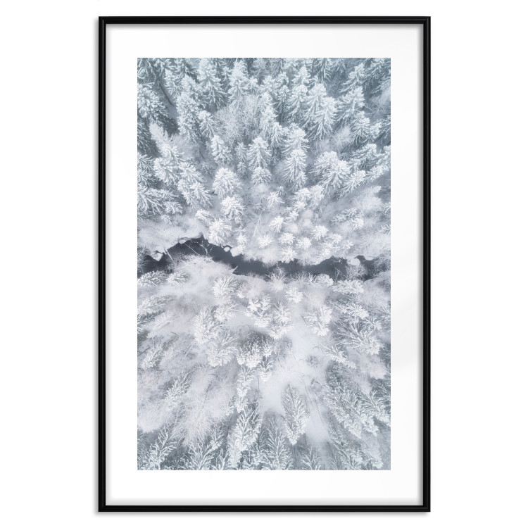 Poster Tree crowns - winter landscape of snow-covered trees seen from above 115134 additionalImage 15