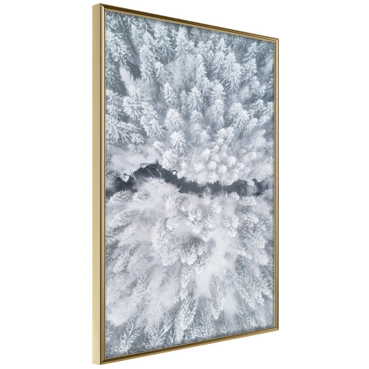 Poster Tree crowns - winter landscape of snow-covered trees seen from above 115134 additionalImage 12