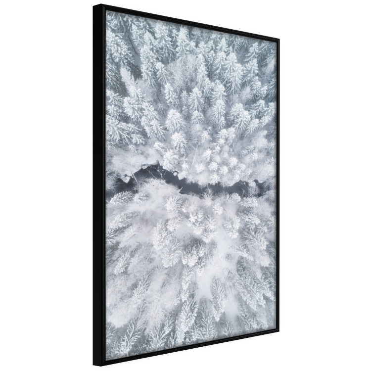 Poster Tree crowns - winter landscape of snow-covered trees seen from above 115134 additionalImage 12