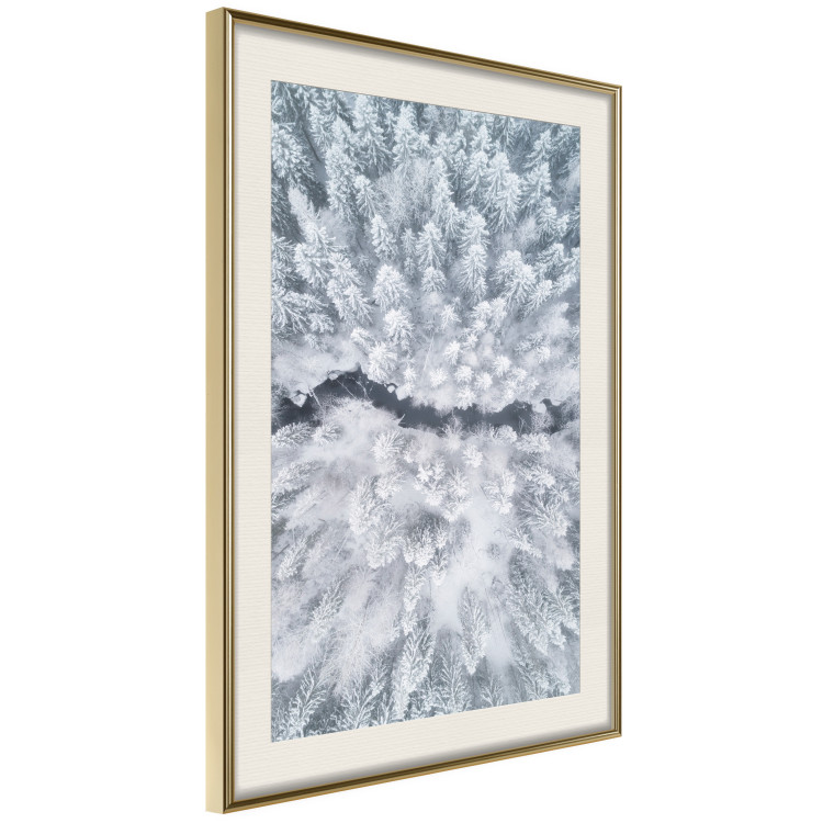 Poster Tree crowns - winter landscape of snow-covered trees seen from above 115134 additionalImage 2